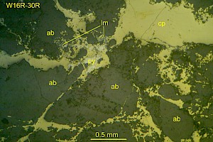 Close up of the petrographic photo of W16R-30R with abundant chalcopyrite